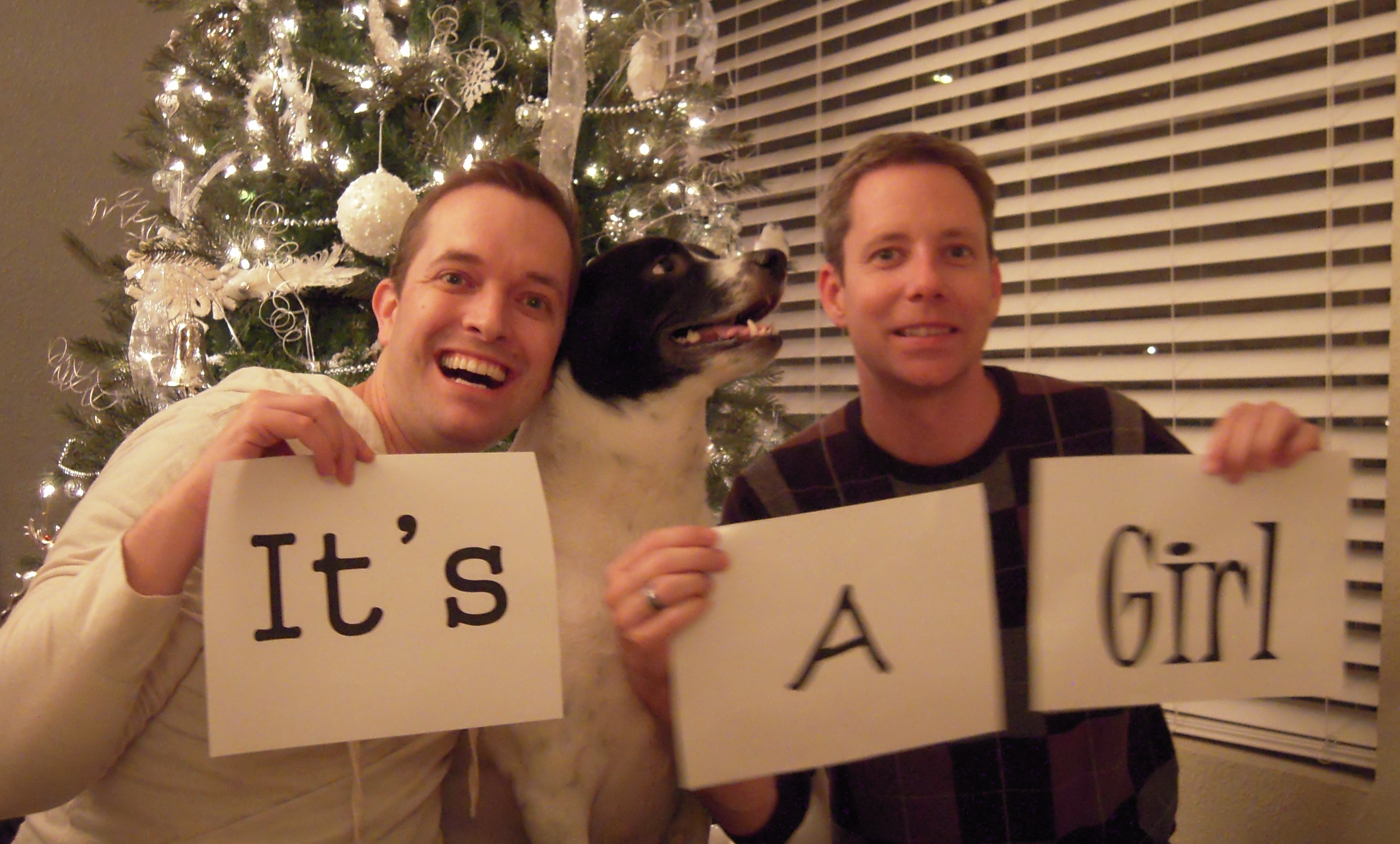 ITS A GIRL!