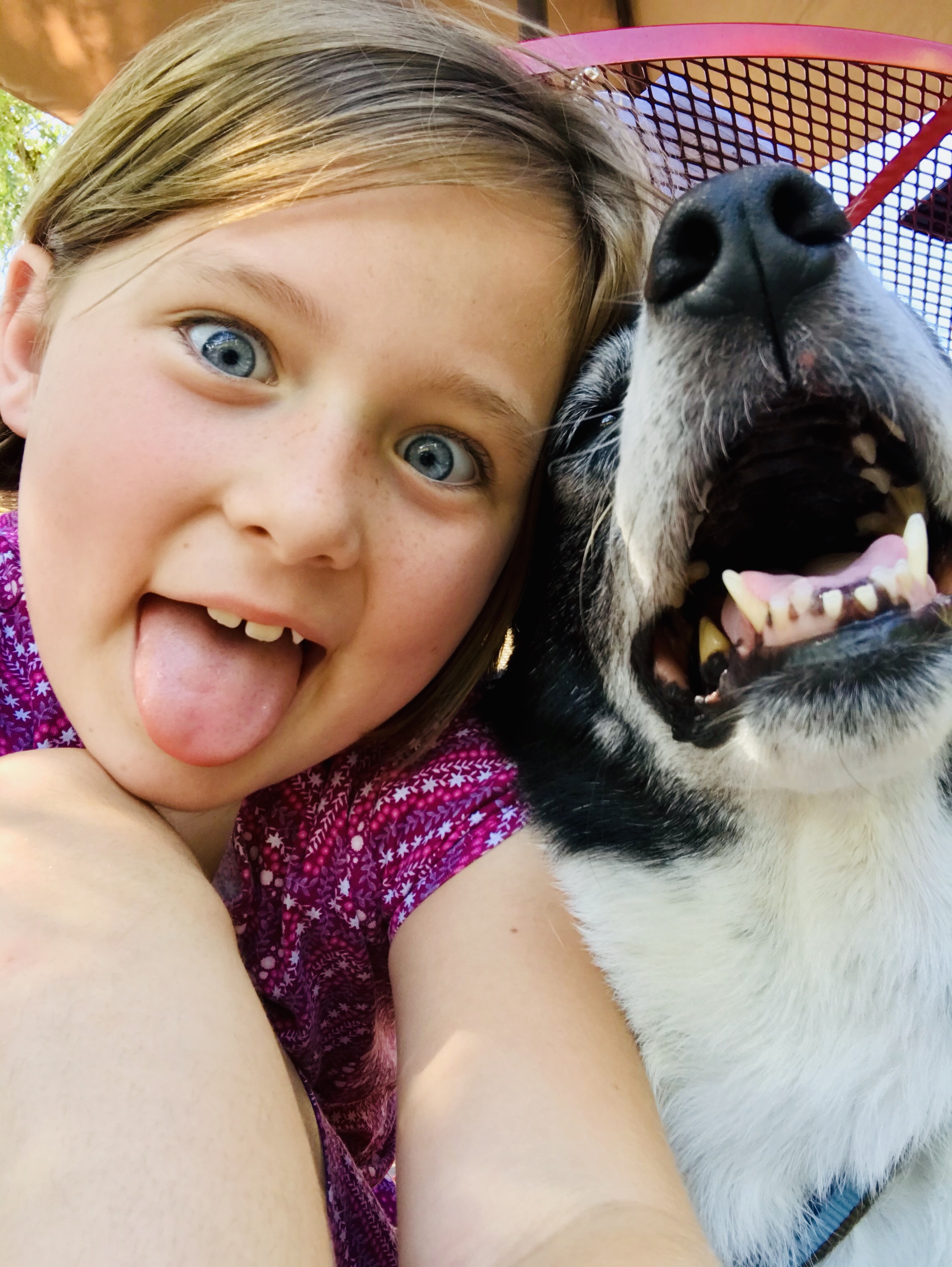 Day 29 – Journey to El Dorado