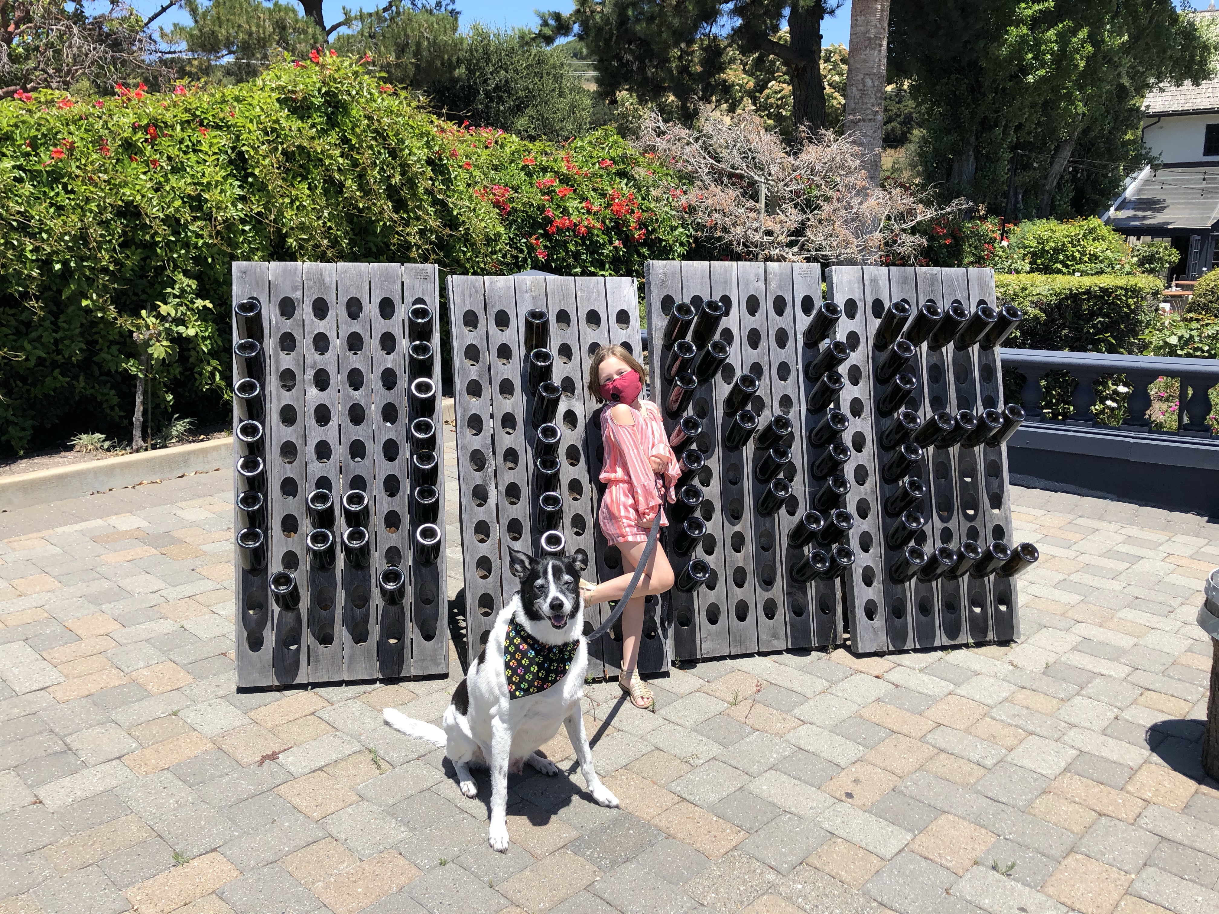 Day 26 – It was almost the end