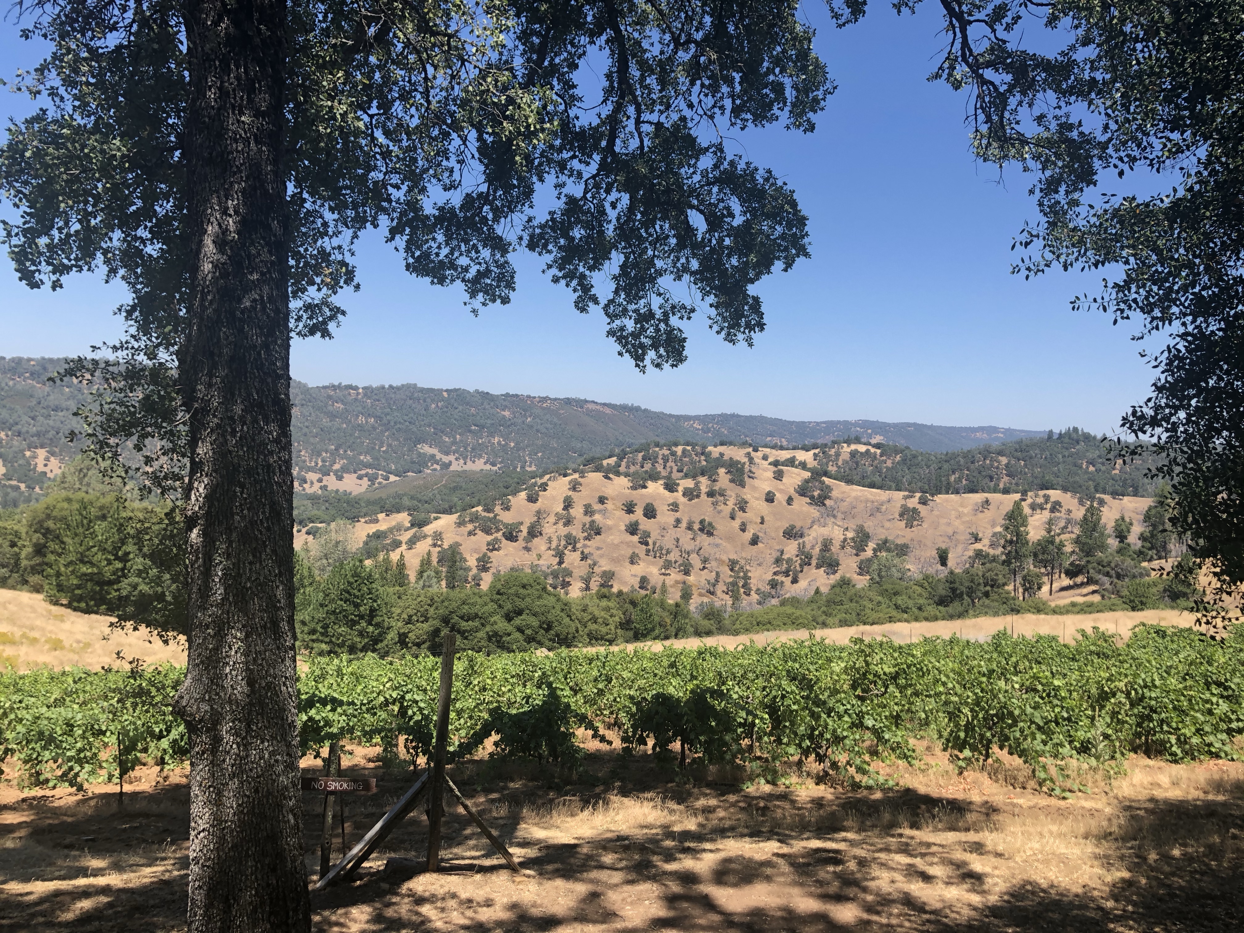 Day 28 – Amadon’t stop